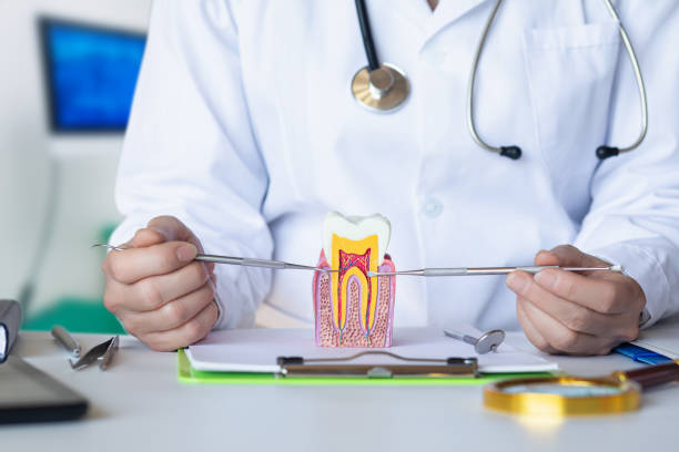 Best Emergency Wisdom Teeth Removal in Four Corners, MD